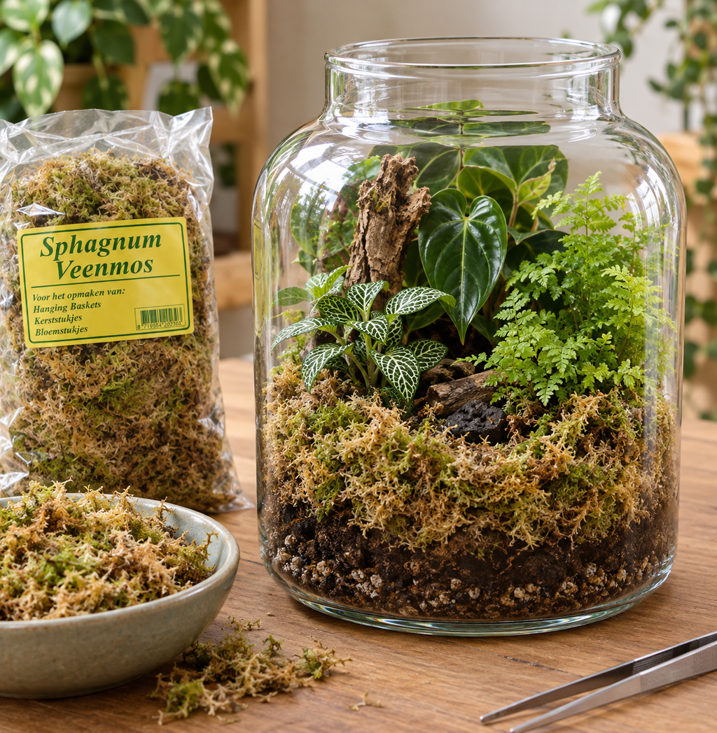Premium sphagnum mos (veenmos) – 5 liter